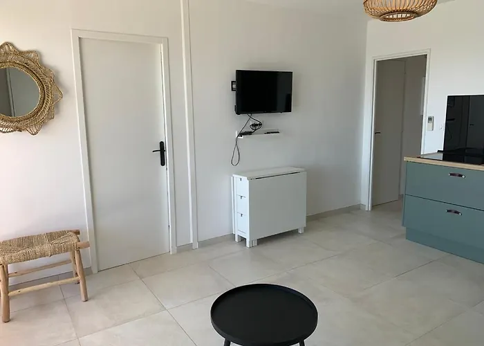 Vue Sur Les Iles D'or